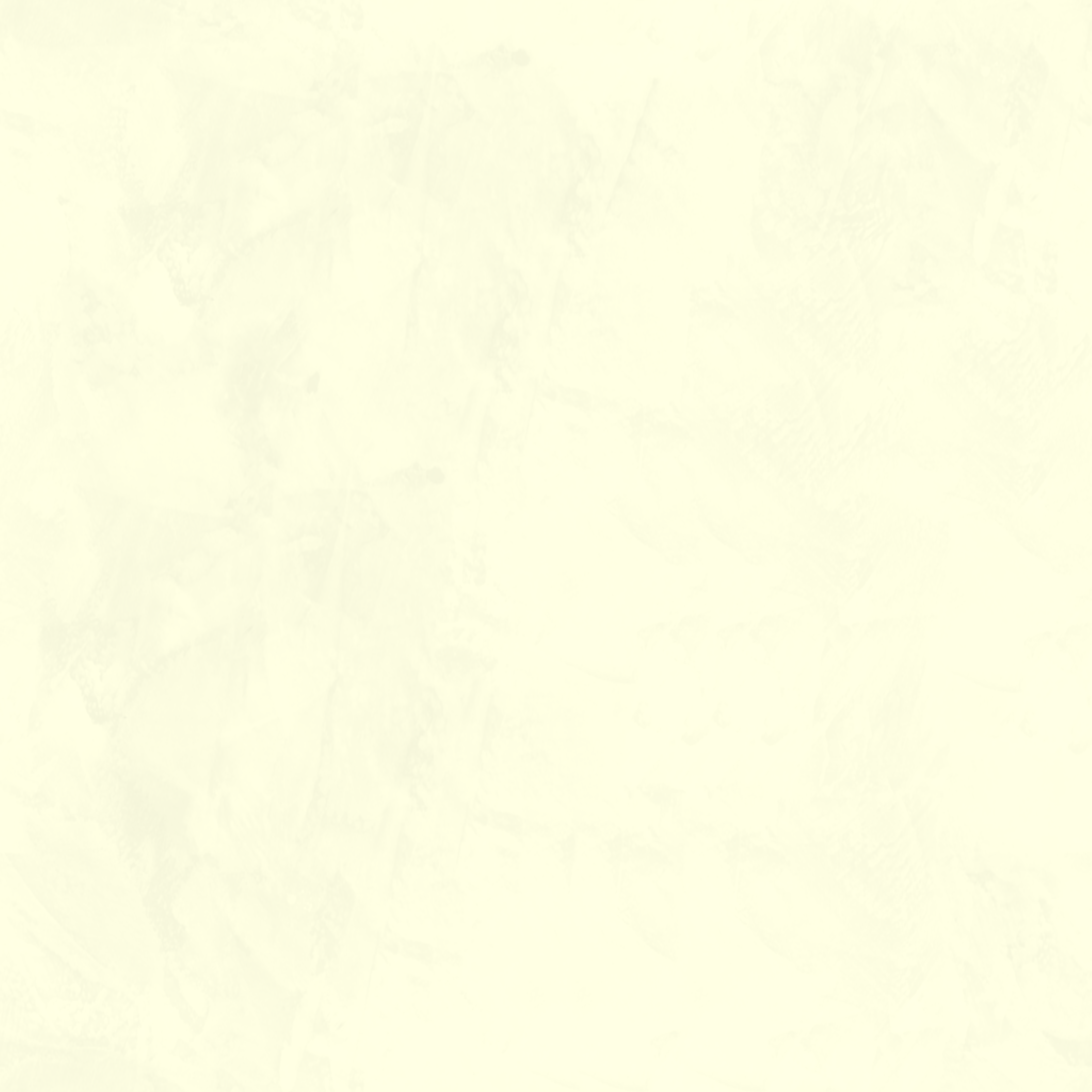 Navigate to Plaster Dulux VenetianPlaster MarmorinoFine OatMilk2