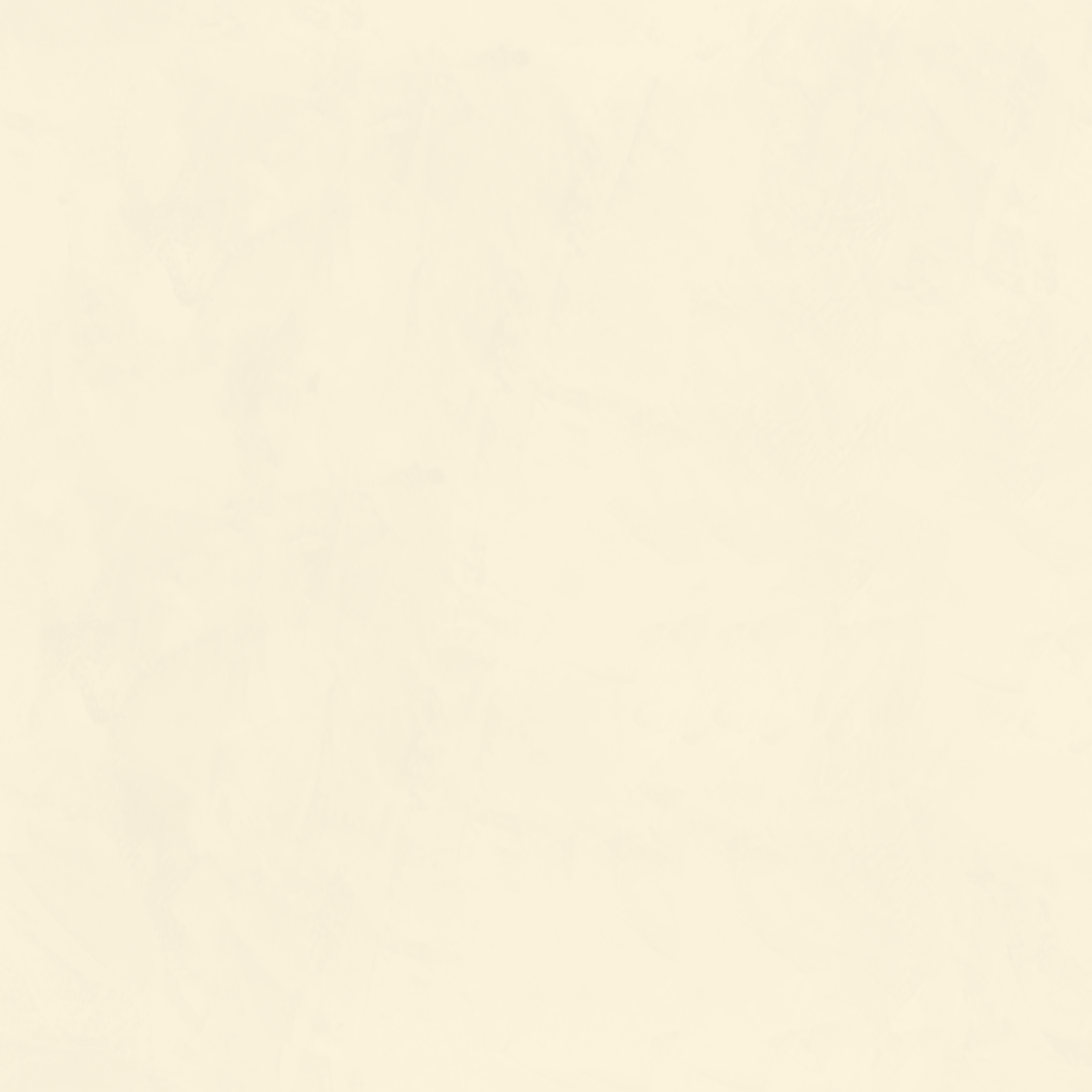 Navigate to Plaster Dulux VenetianPlaster MarmorinoFine Oyster1