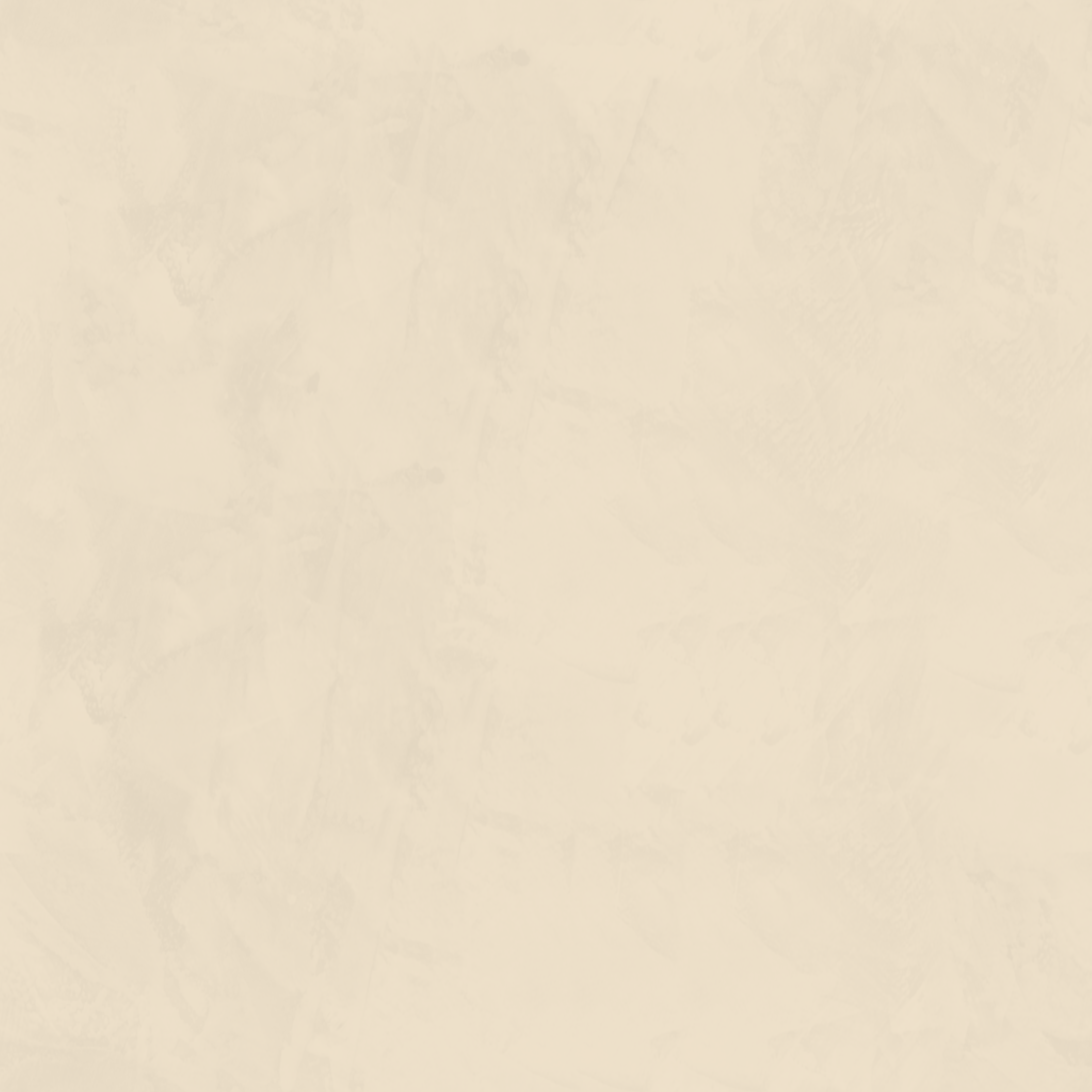 Navigate to Plaster Dulux VenetianPlaster MarmorinoFine Oyster2