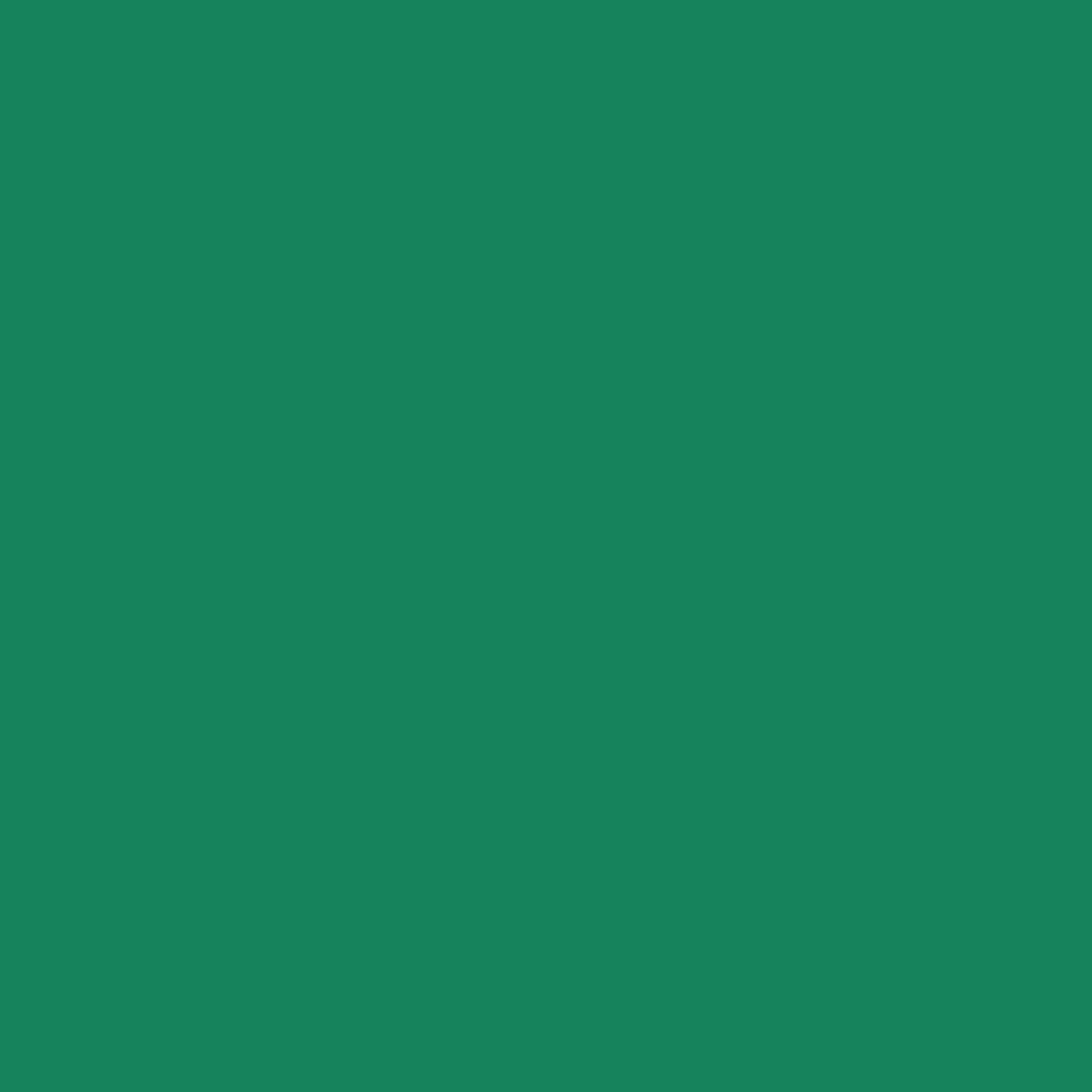 Navigate to ProtectiveCoating Dulux AS2700 Jade G21
