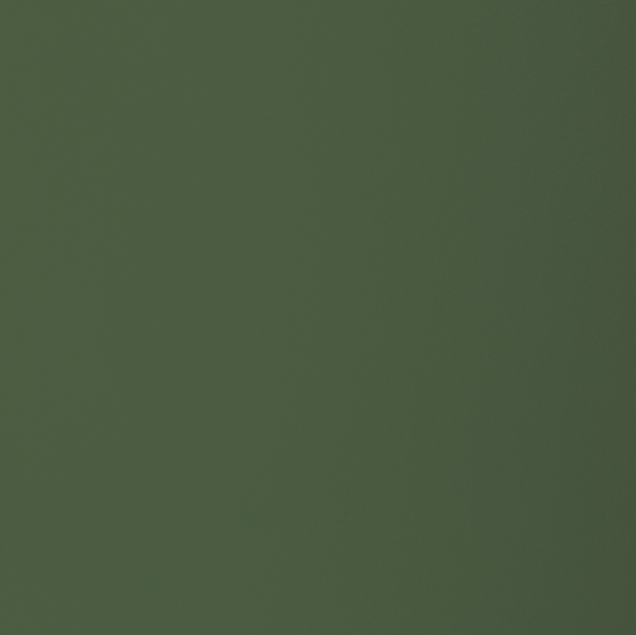 Laminate Decorative Laminex ColourCollection WhitesAndNeutrals Natural HushedPine