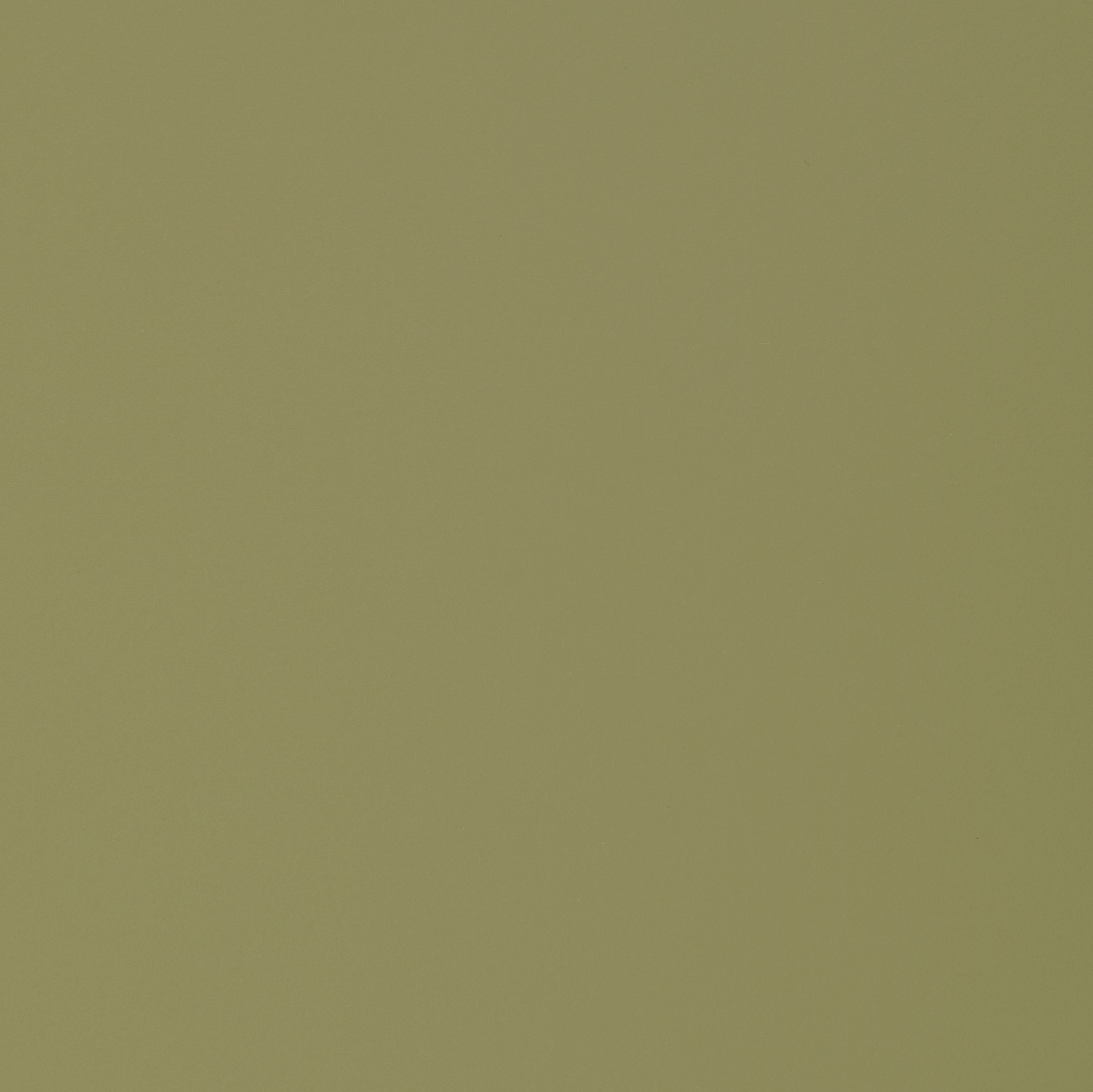 Navigate to Laminate Decorative Laminex ColourCollection WhitesAndNeutrals Natural Olivine