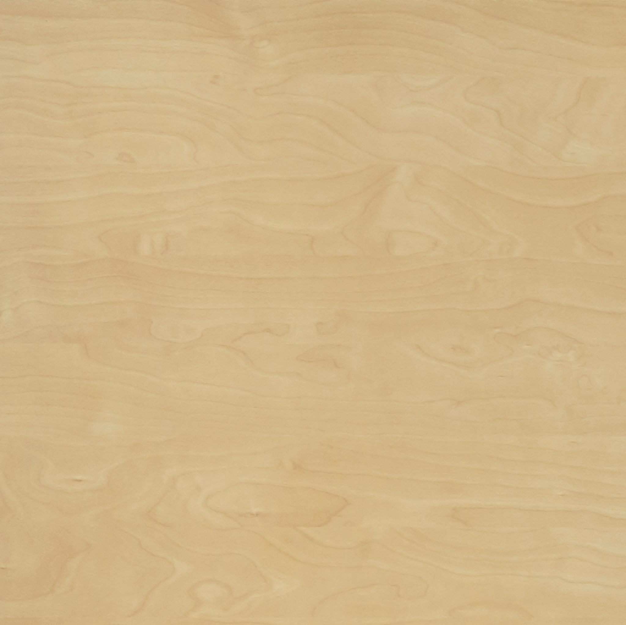 Navigate to Laminate Decorative Laminex ColourCollection Woodgrains Natural CurlyBirch