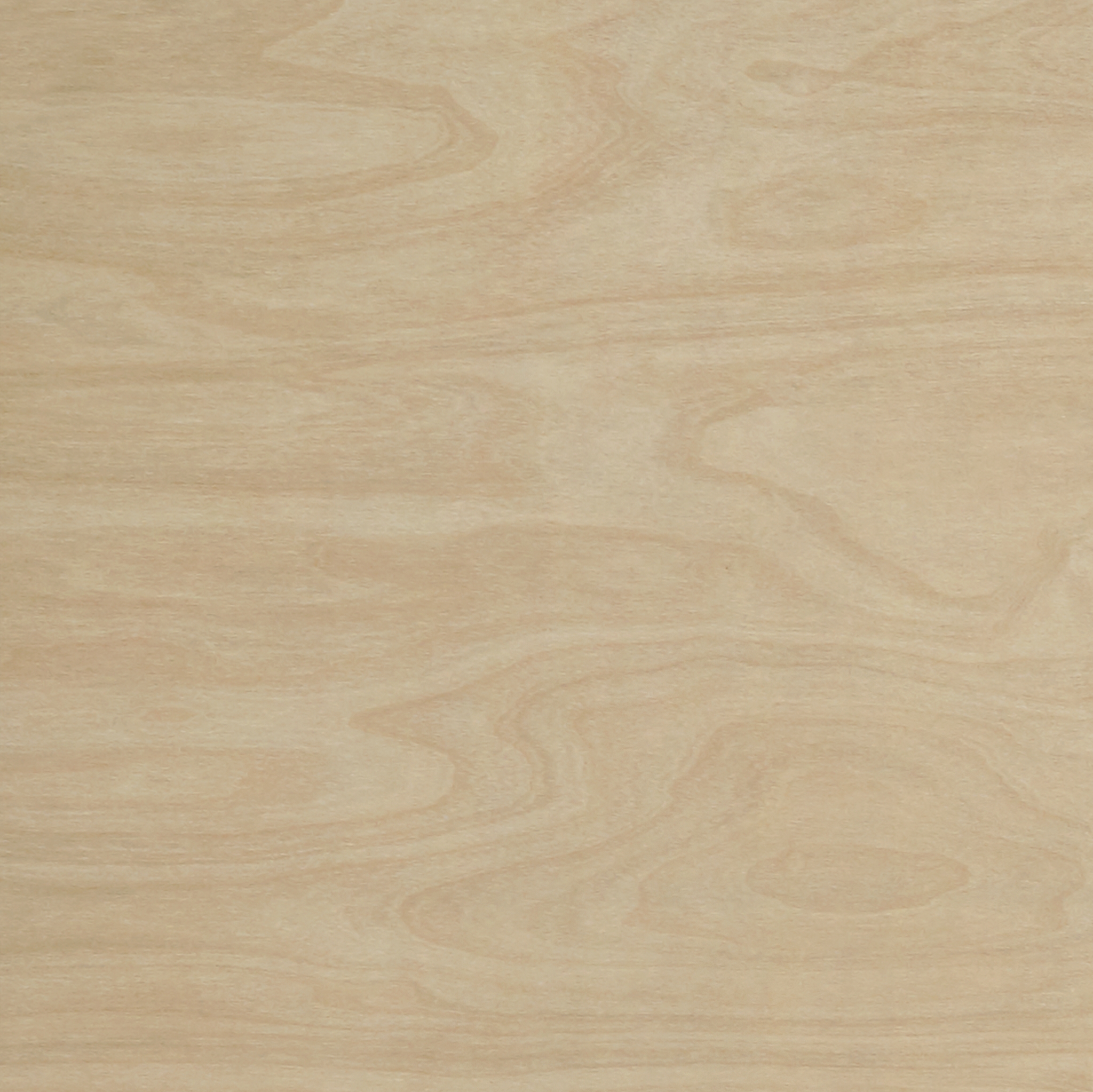 Laminate Decorative Laminex ColourCollection Woodgrains Natural RawBirchply