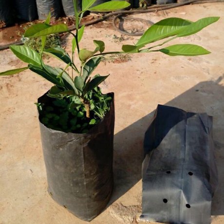 طاقم البستنة Pack 490  image 1