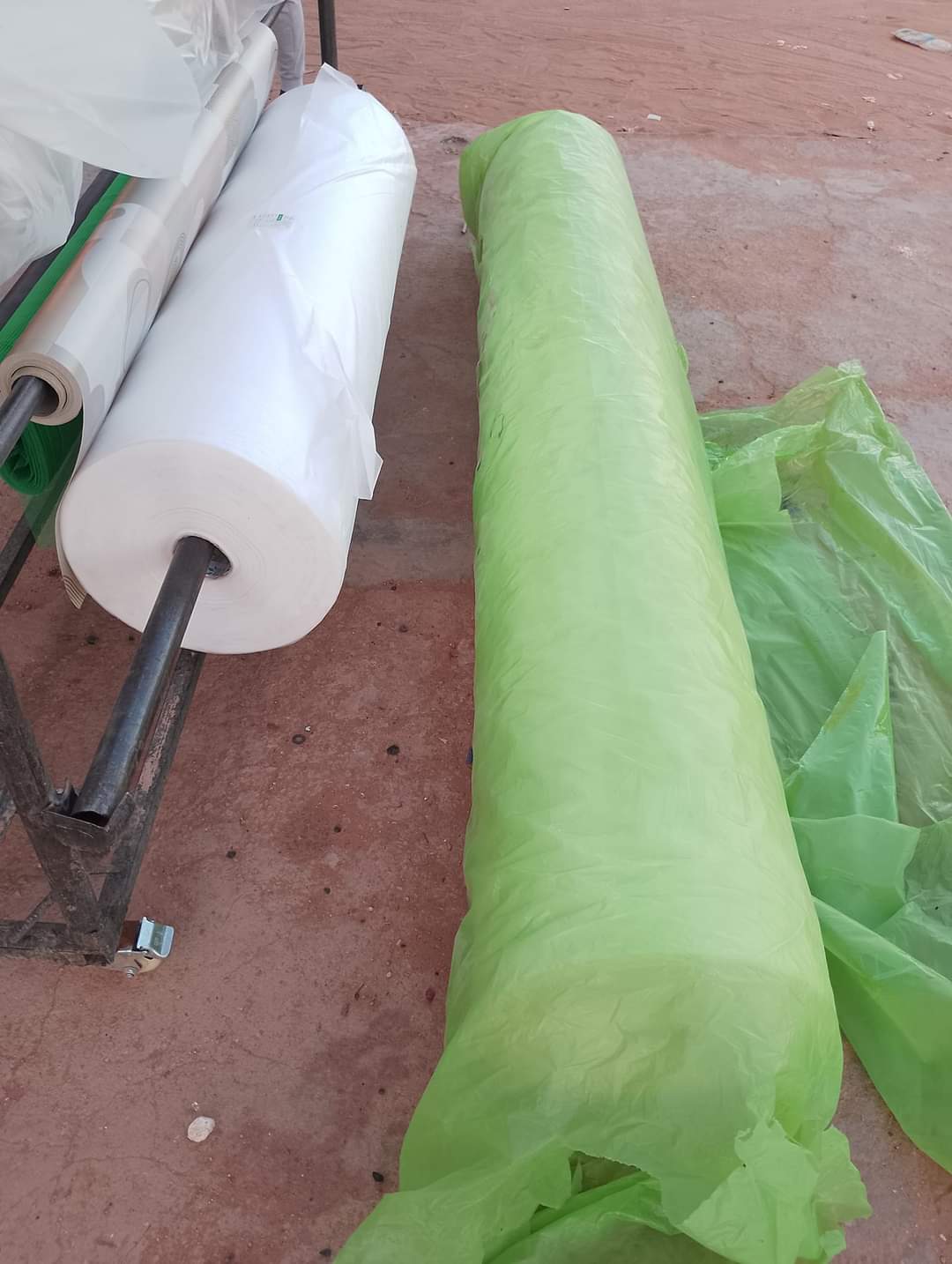 غطاء النباتات الأبيض. Cover plant image 10