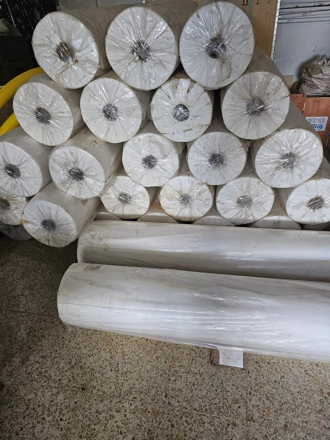 غطاء النباتات الأبيض. Cover plant image 13