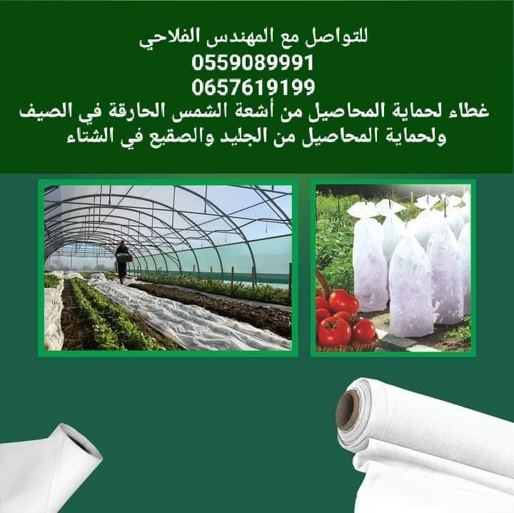 غطاء النباتات الأبيض. Cover plant image 6