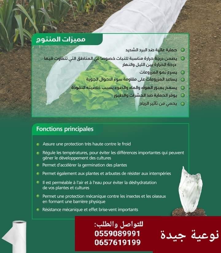 غطاء النباتات الأبيض. Cover plant image 9