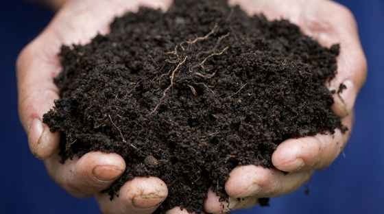Vermicompost مخصب عضوي للتربة  image 0