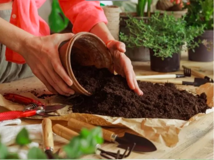 Vermicompost مخصب عضوي للتربة  image 2