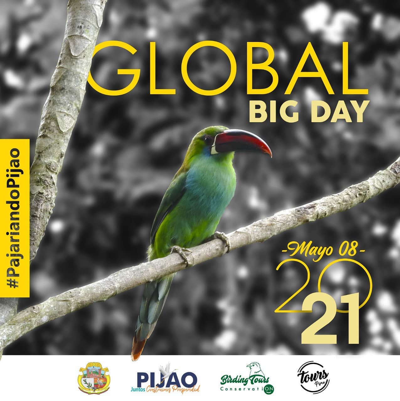Global Big Day