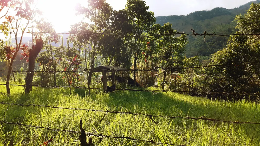 Retiro de Bienestar en el Quindío: El lujo de la Desconexión Digital