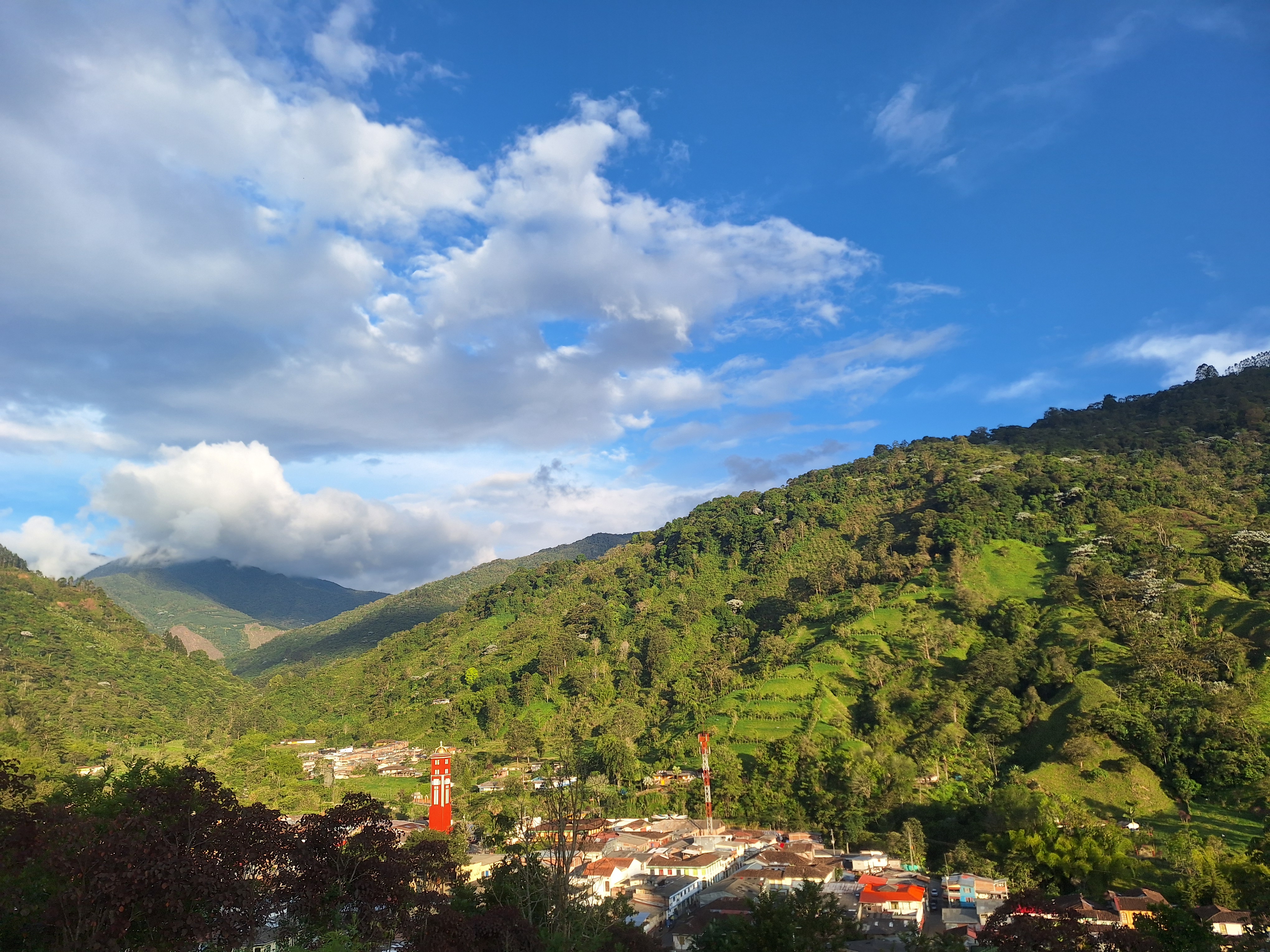 Camping en Pijao y el Quindío: dónde acampar y qué llevar | Bio Onda