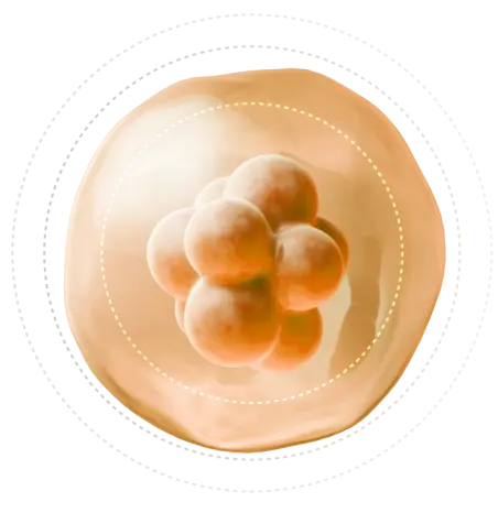 Oxidation