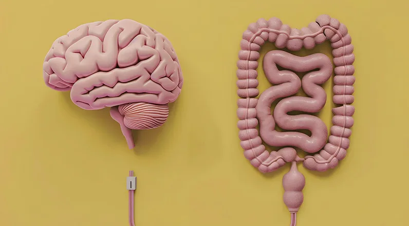 Gut-brain axis