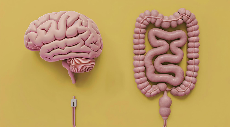 Gut-brain axis