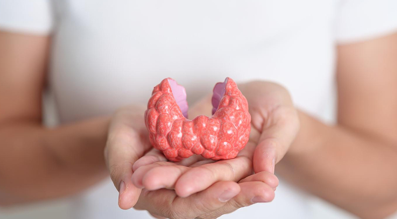 The Role of Endocrine Disruptors in Health and Disease