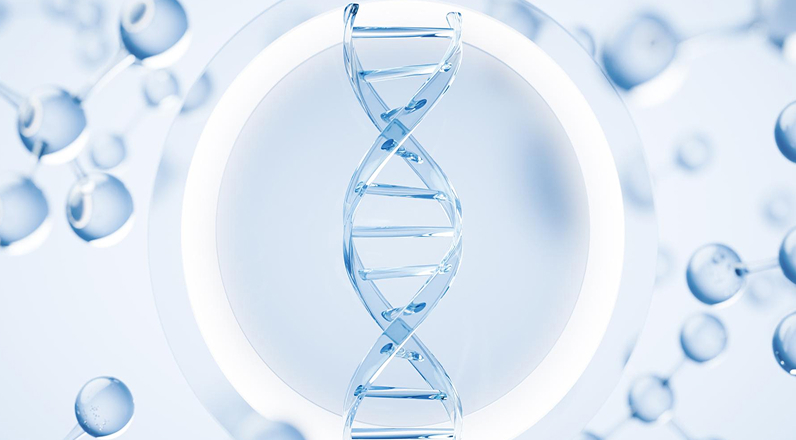 Understanding epigenetics
