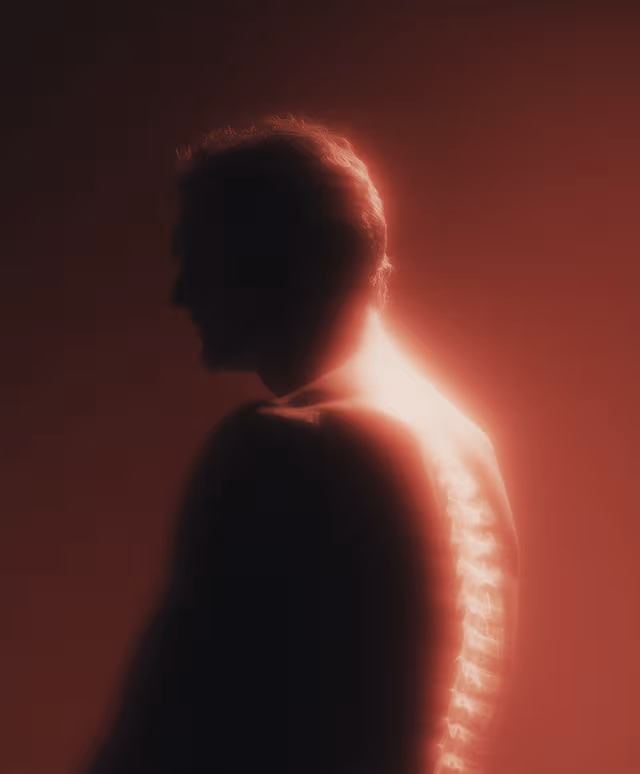 Inflammation Support