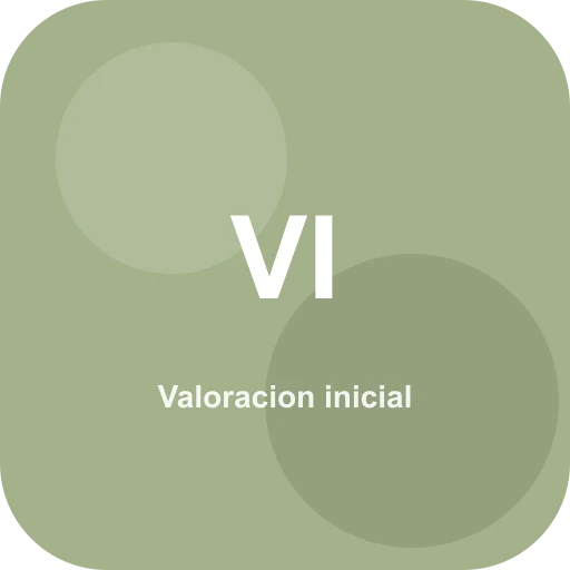 Valoracion inicial