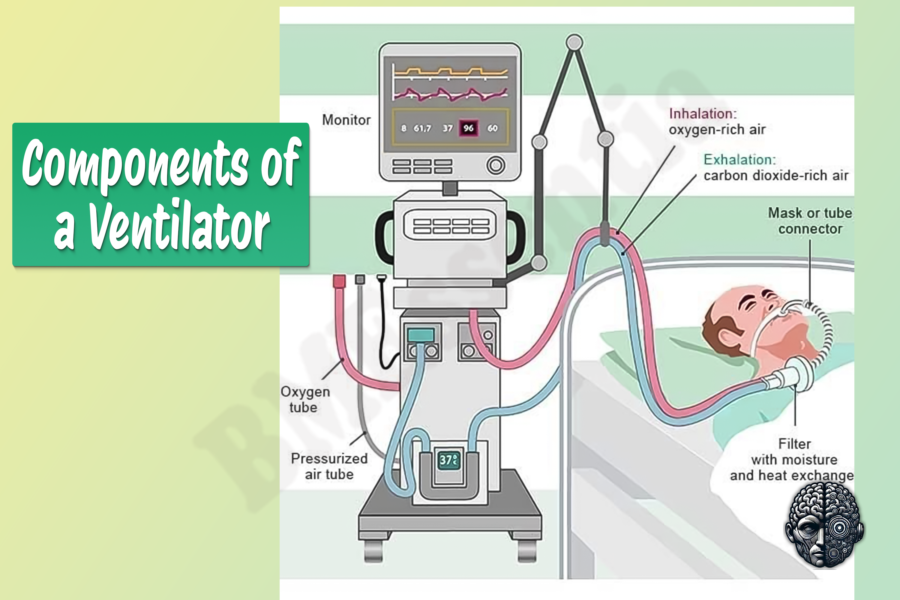 Mechanical Ventilators