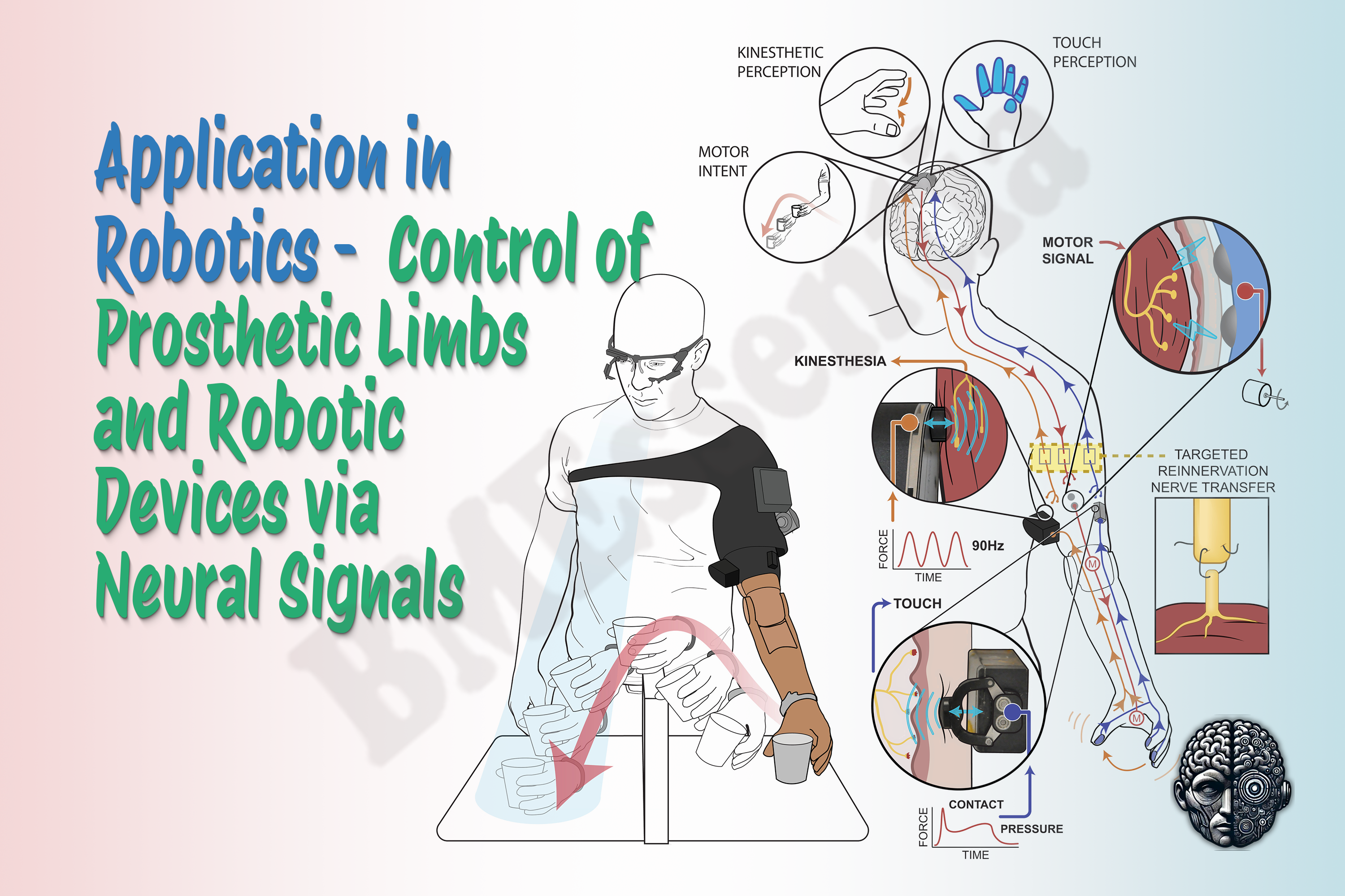 Prosthetic Limbs