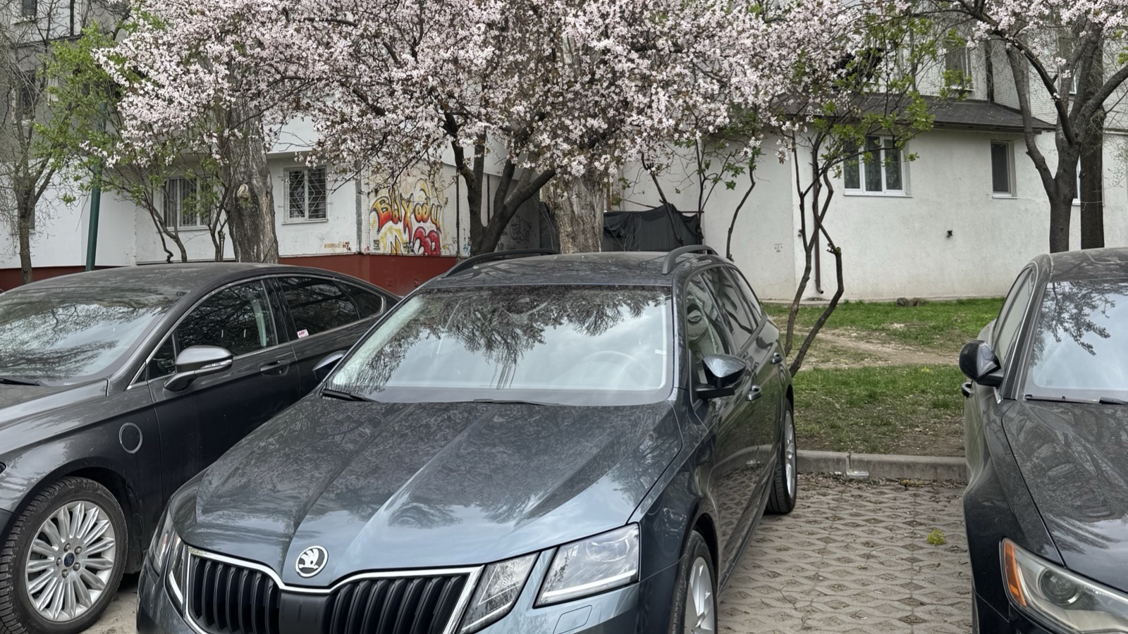 Skoda Octavia 2020