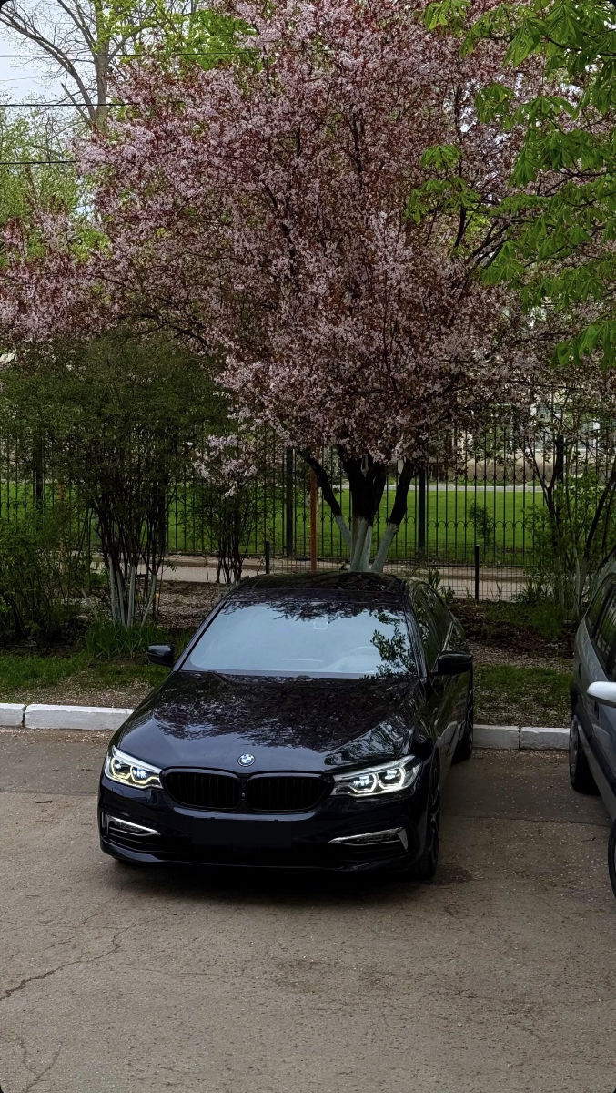 BMW 5 Series 2017