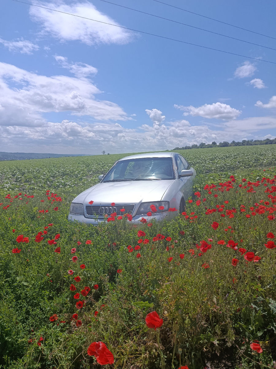 Audi A6 1998