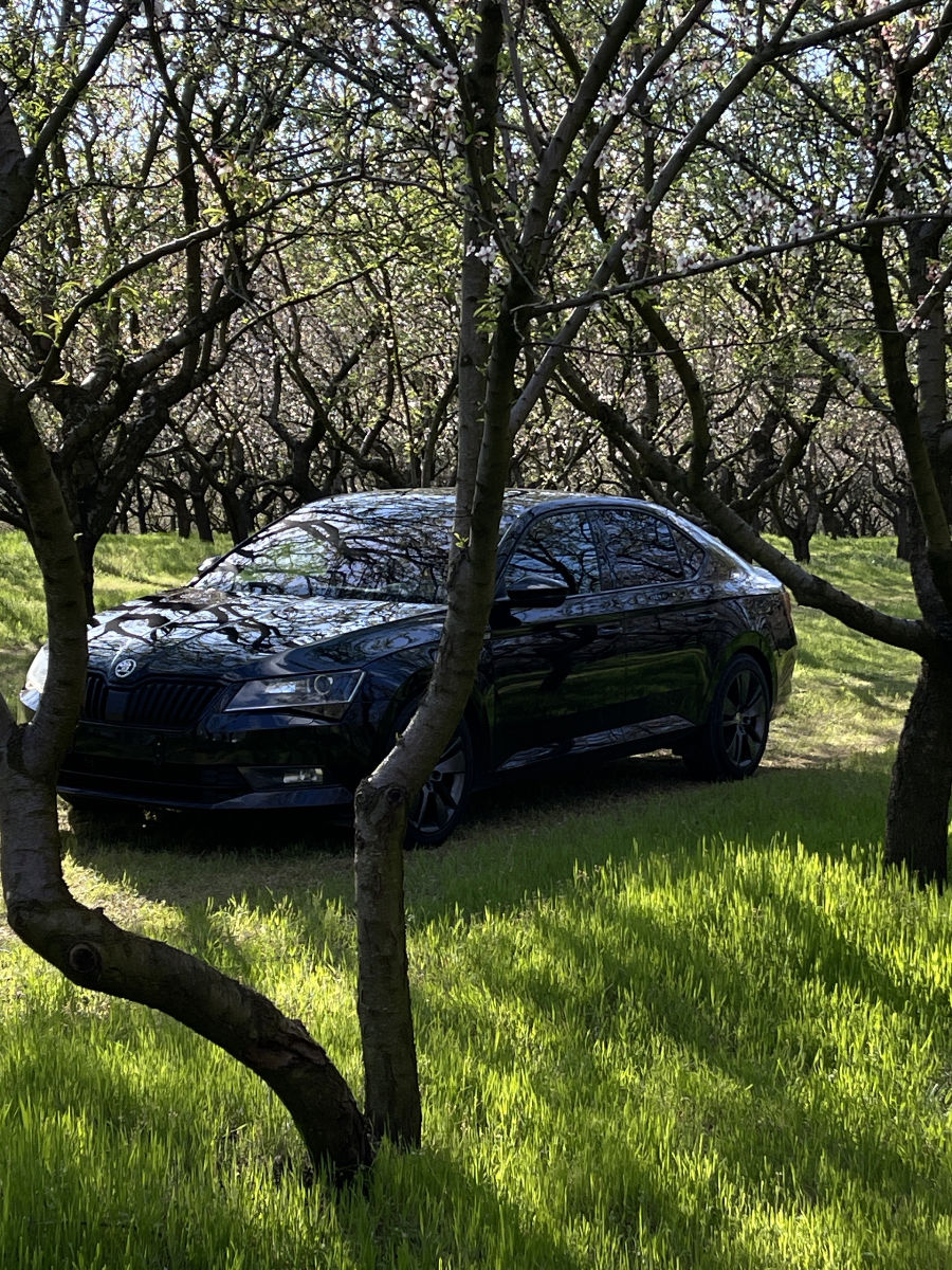 Skoda Superb 2017