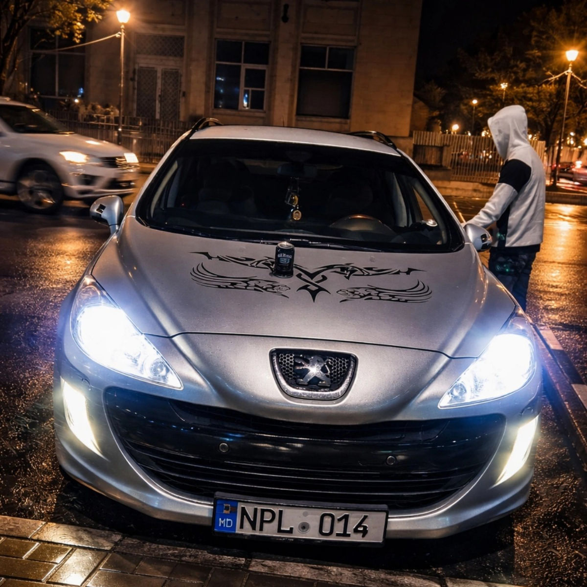 Peugeot 308 2010