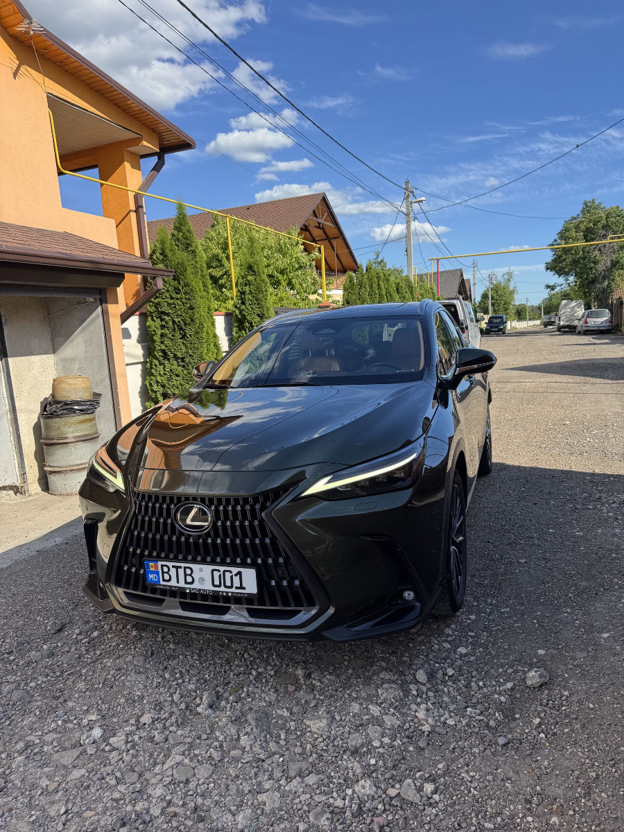 Lexus NX 2024