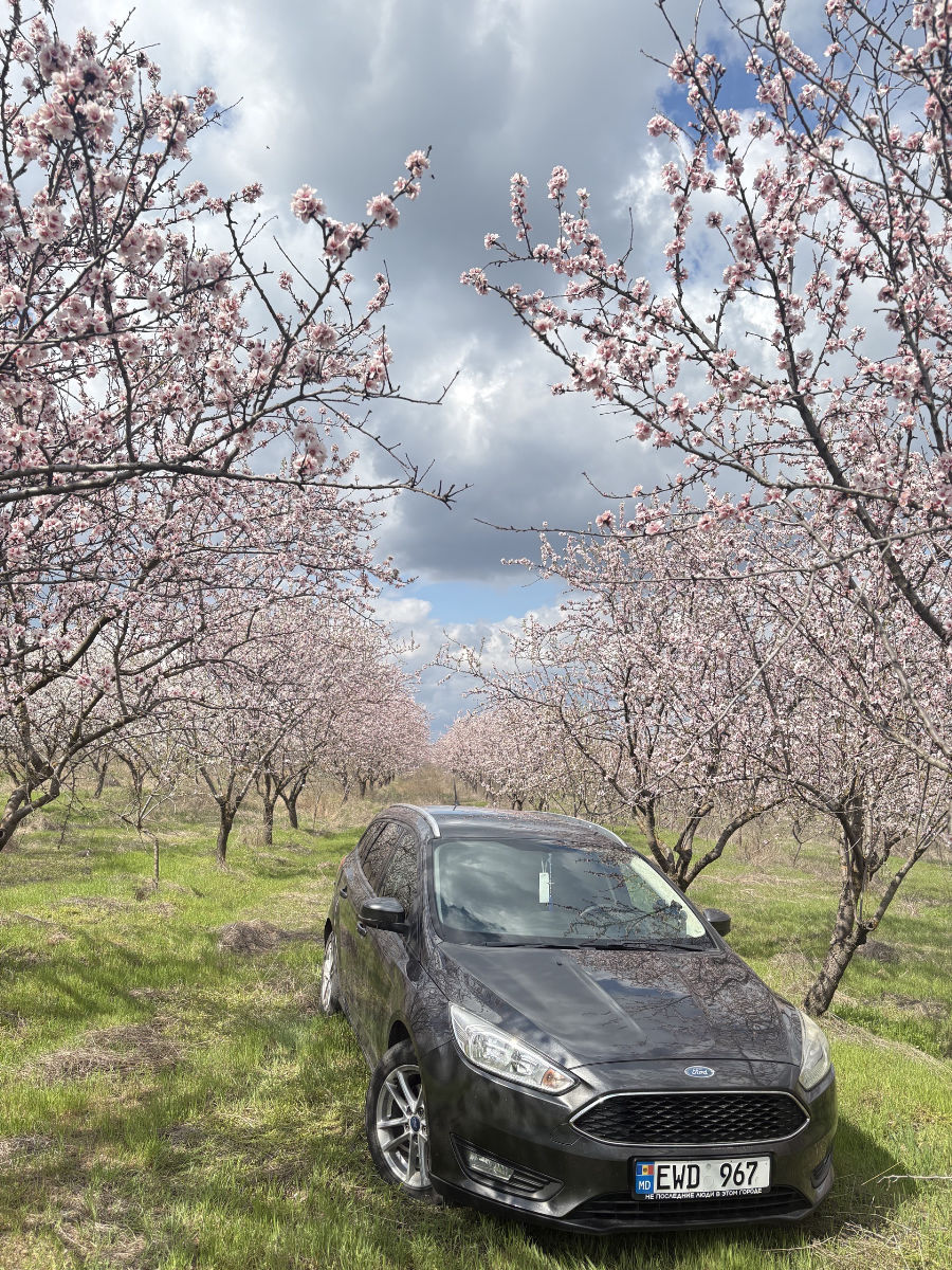 Ford Focus 2017