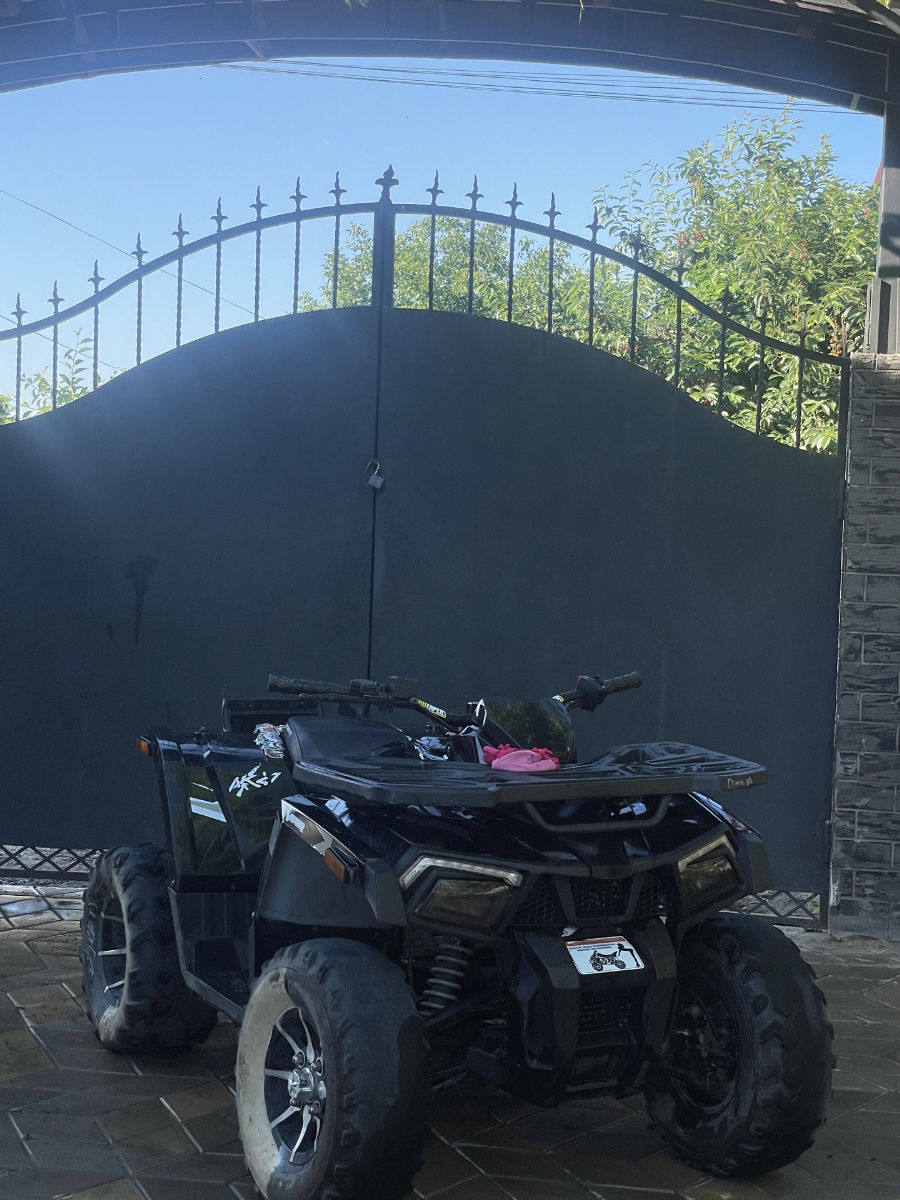 Viper V250 2025