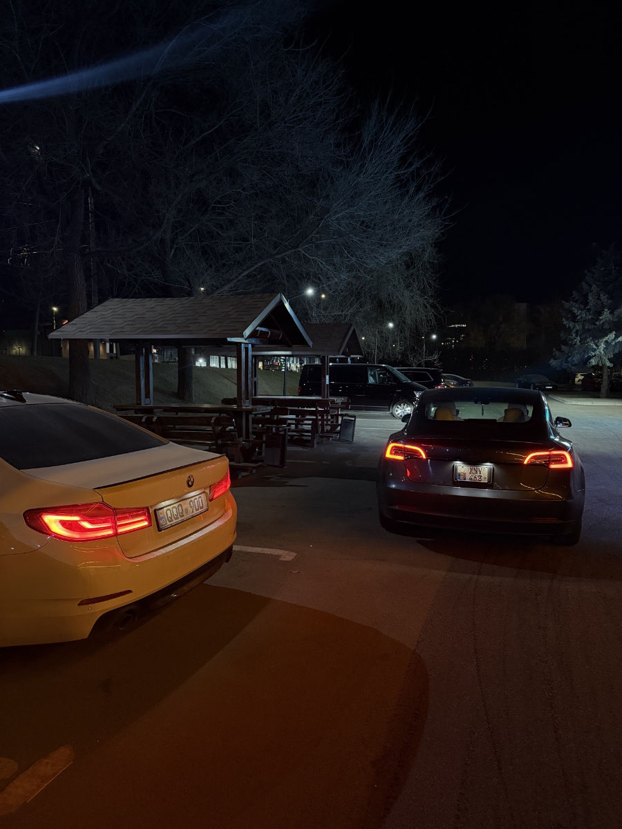 Tesla Model 3 2020