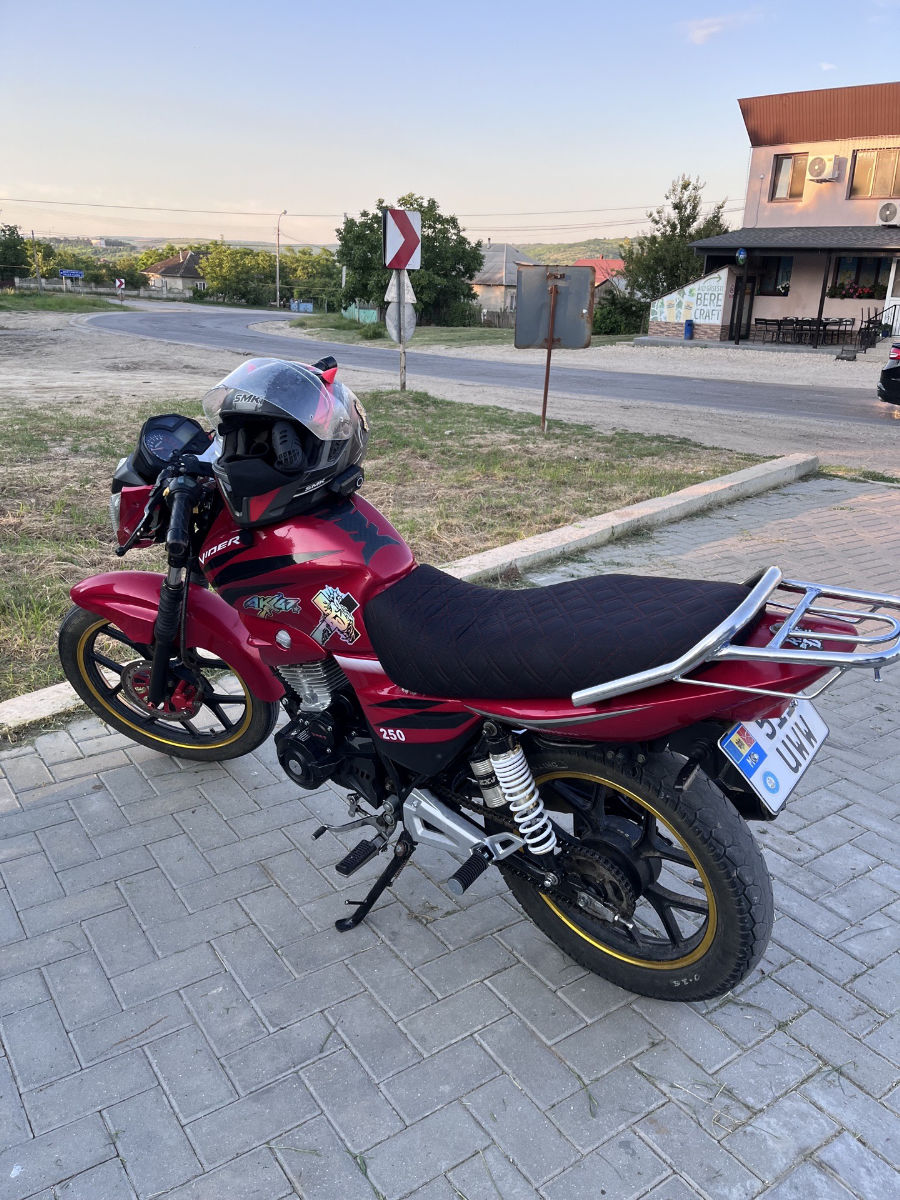 Viper V250 2019
