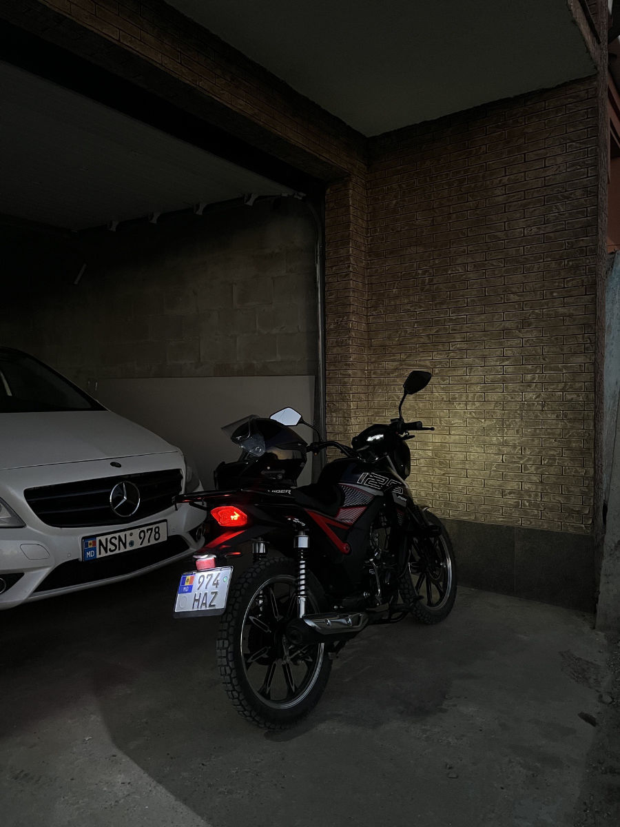 Viper Mongoose 2024