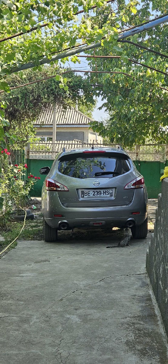 Nissan Murano 2010