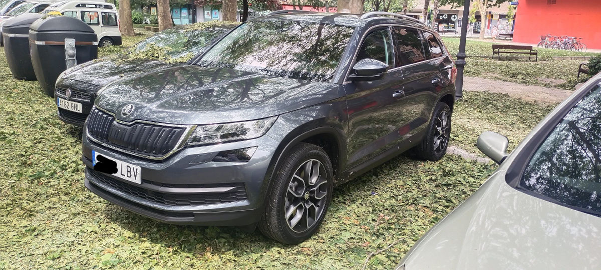 Skoda Kodiaq 2020