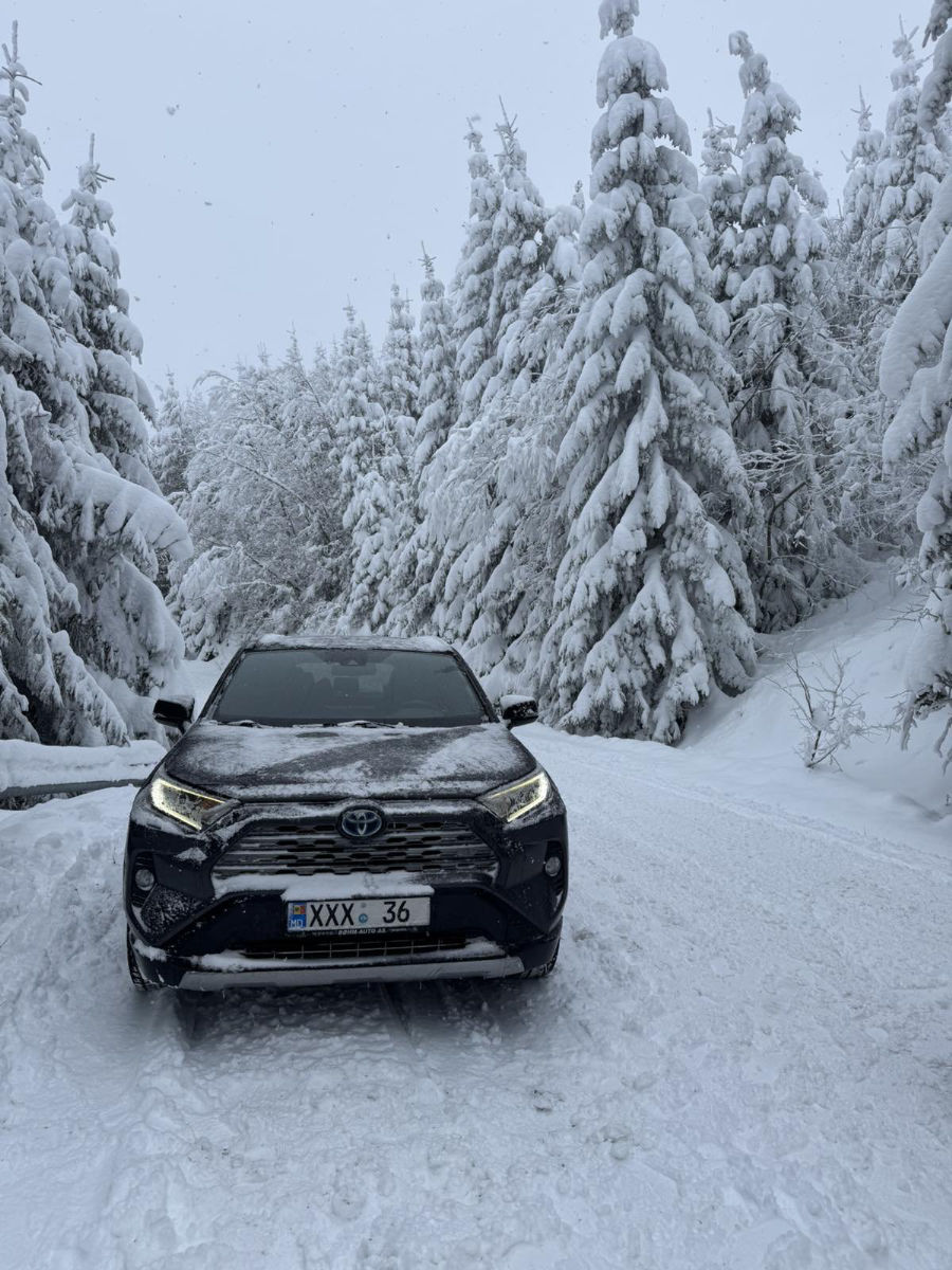 Toyota RAV4 2020