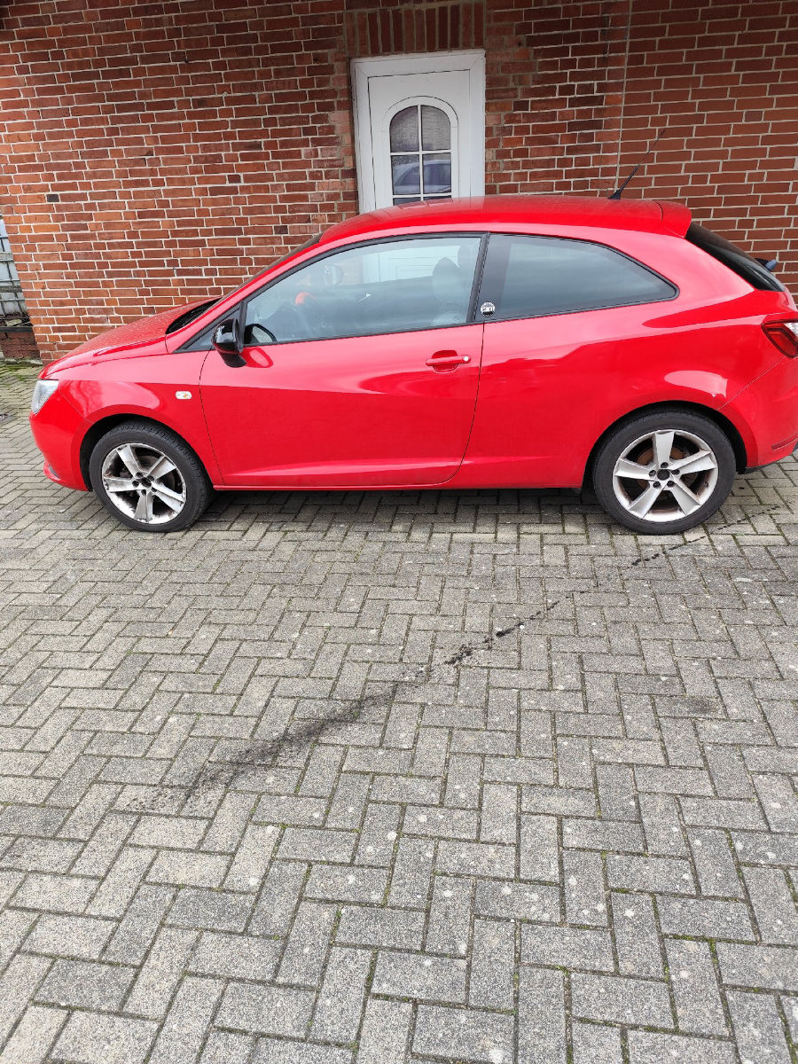 Seat Ibiza 2014