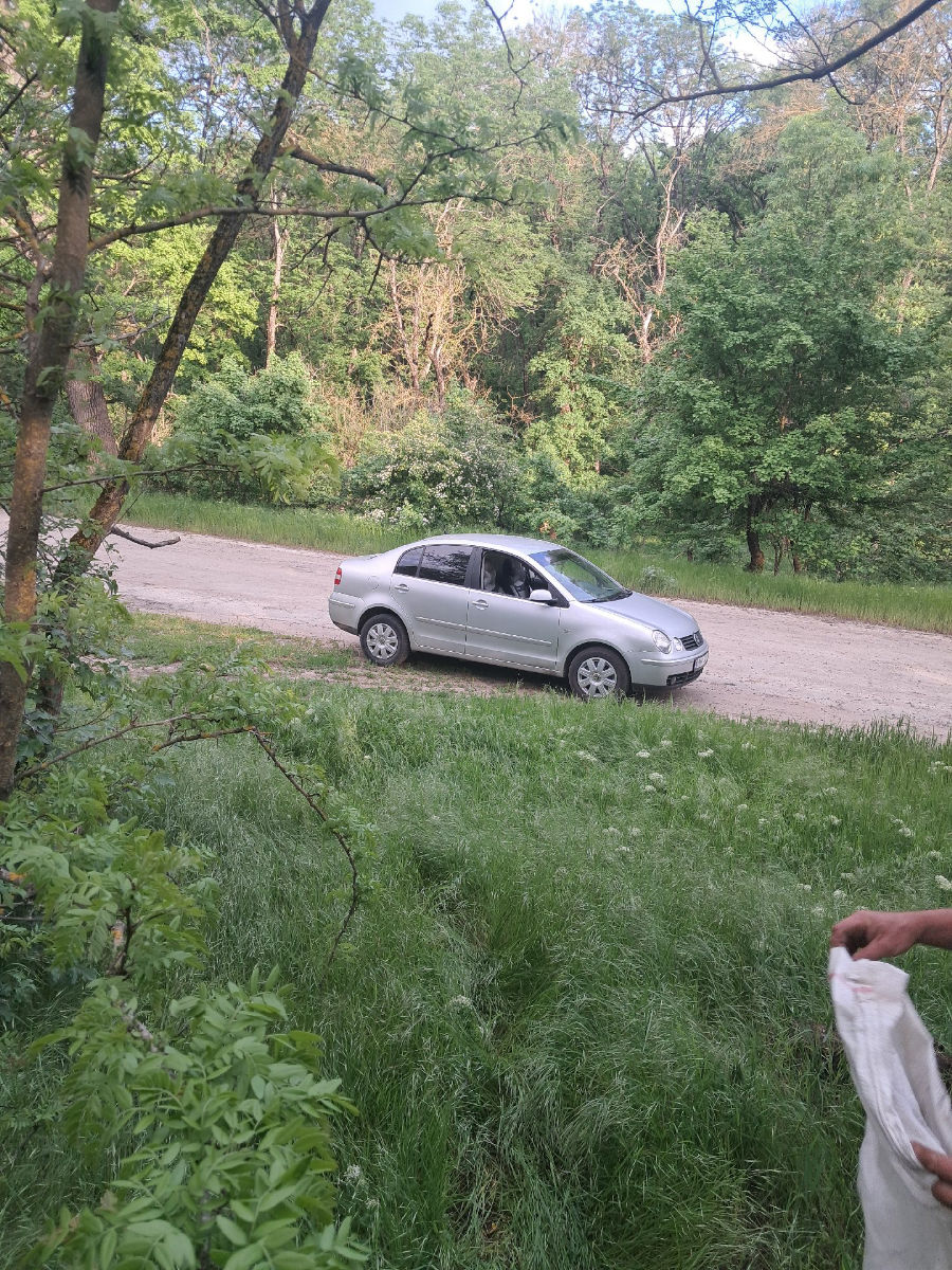 Volkswagen Polo 2004