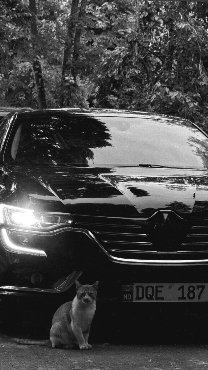 Renault Talisman 2016