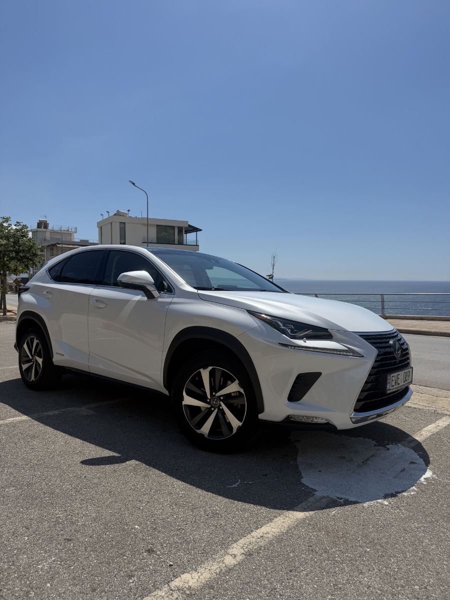 Lexus NX 2019