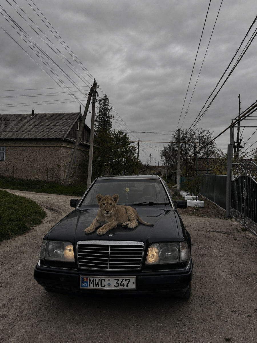 Mercedes W124 1993