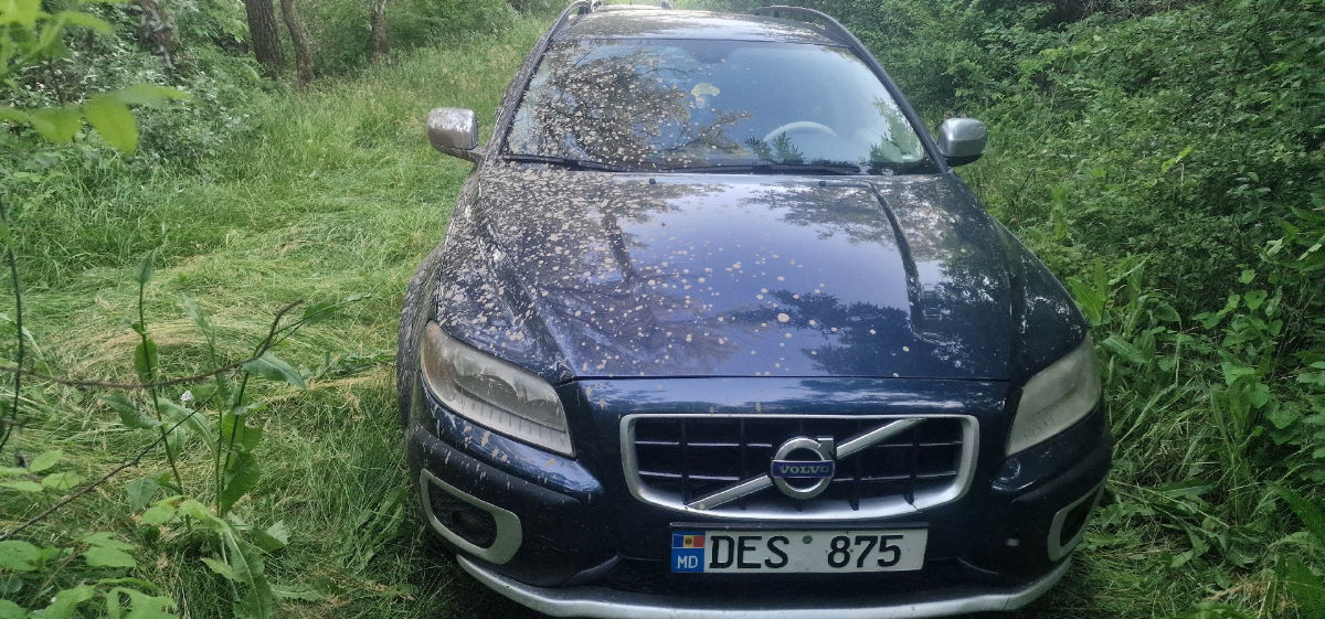 Volvo XC70) 2010