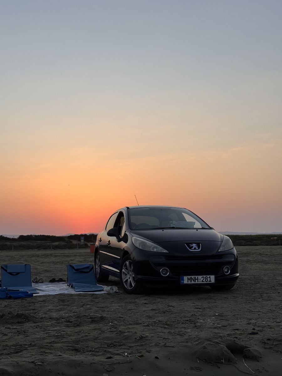 Peugeot 207 2009