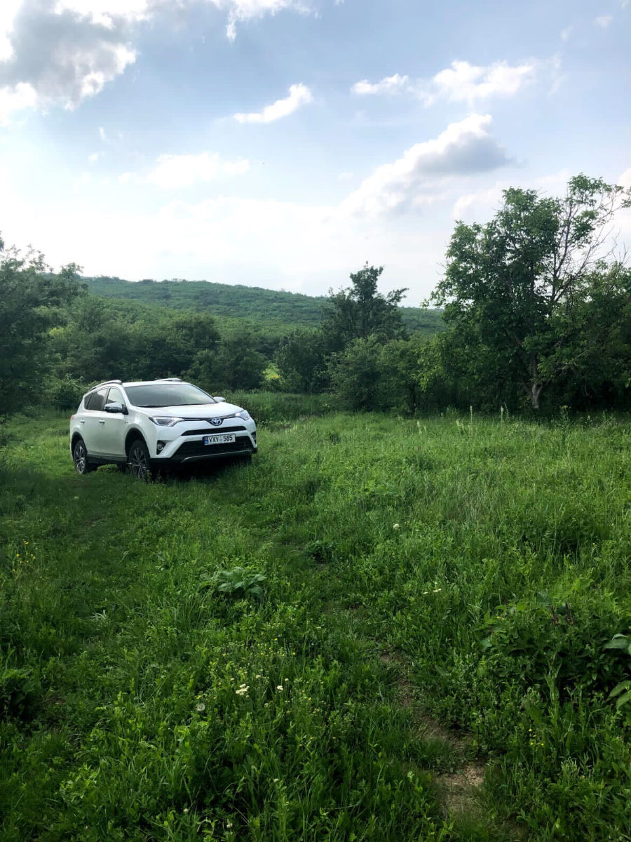 Toyota RAV4 2018