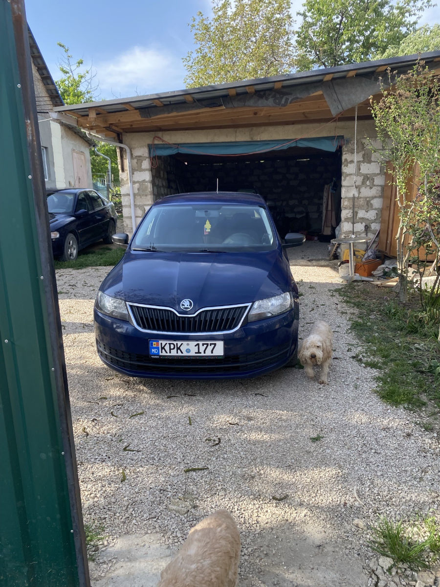 Skoda Rapid 2015